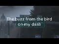 Modest Mouse - Truckers Atlas (lyrics)