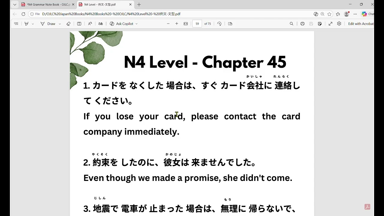 N4 grammar - chapter 45