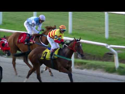 221210 c04 CARIM VANY