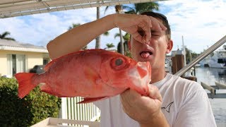 This Fish SMELLS Like TRASH! SHOCKING Taste Test RESULTS! Catch N Cook (Glasseye/Toro Snapper)