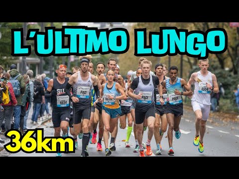 L'ULTIMO LUNGHISSIMO - L'allenamento più duro prima della maratona