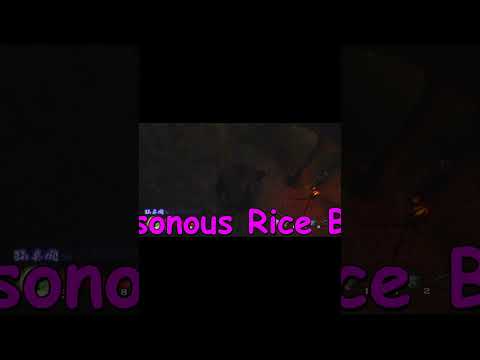 Which Ninja Tool Reigns SUPREME in Tenchu?