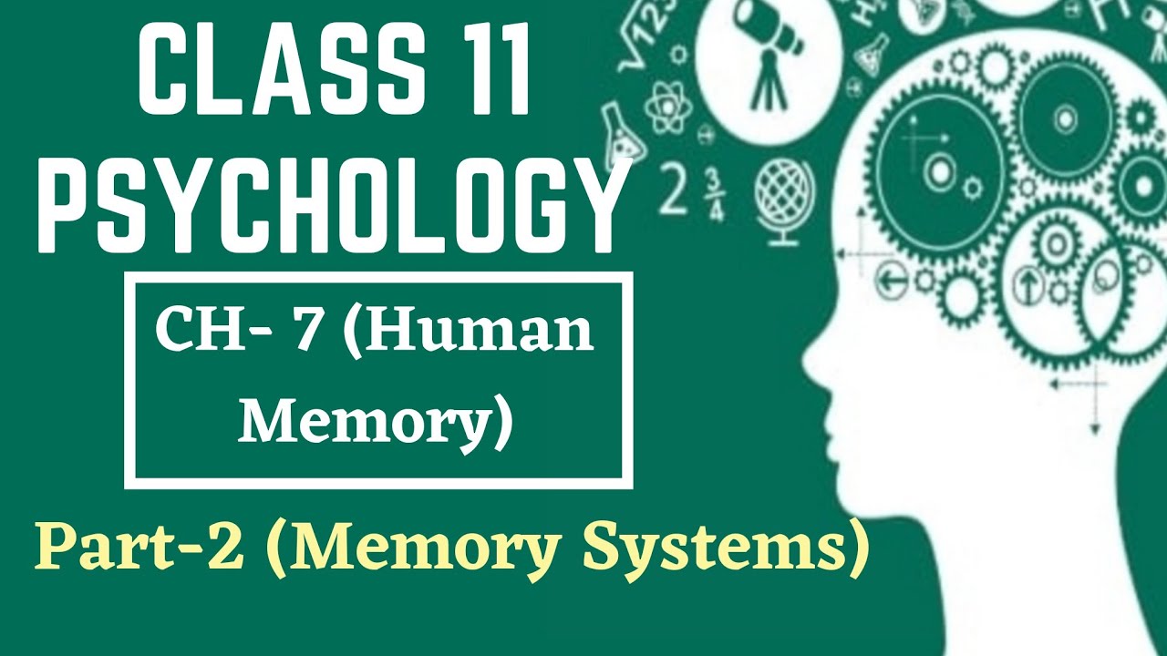 Class 11 Psychology || Chapter- 7 || Part-2 (Memory Systems) || @TextbookChannel