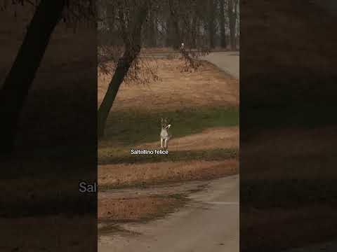 😍😍❤️❤️