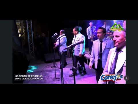 El norti rollo 9 internacionales conejos en la feria de zunil 2023