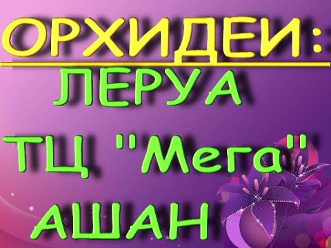 ОРХИДЕИ в ЛЕРУА и Ашане ТЦ "МЕГА",03.03.21,Самара.