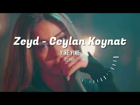 Zeyd feat. Ceylan Koynat - Yine Yine (REMİX) #tiktok #remix