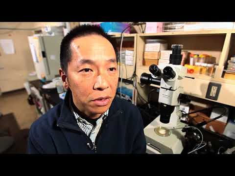海洋電子機械工学科 東京海洋大学Scientist Profile　吉崎 悟朗
