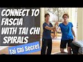 Tai Chi Secrets: How to Connect to Fascia Through Tai Chi Spirals