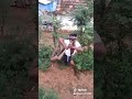 RAMAR Special Adiye Adiye