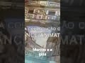 As Aventuras De Marcos E Gina