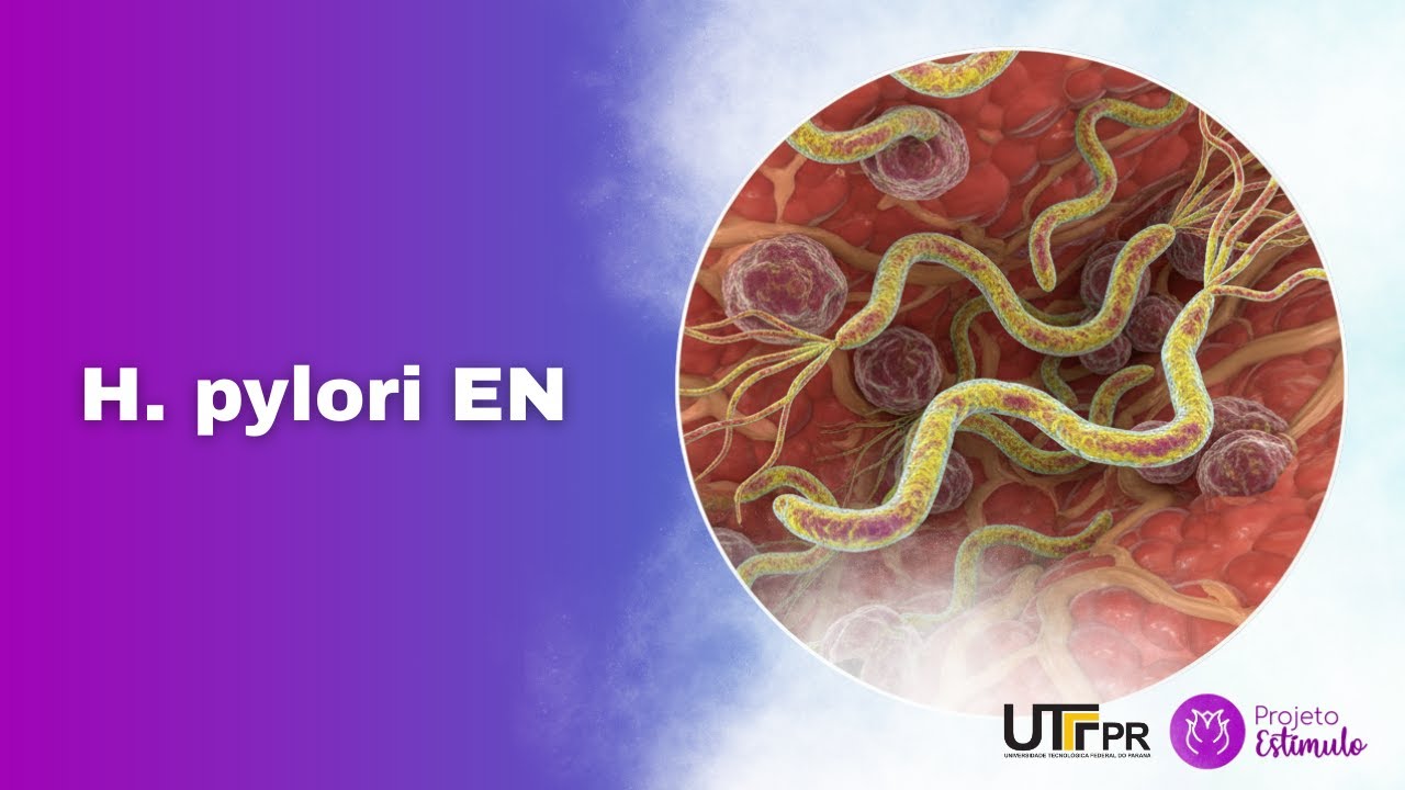 🔴 H. pylori: What It Is and How It Affects Your Health