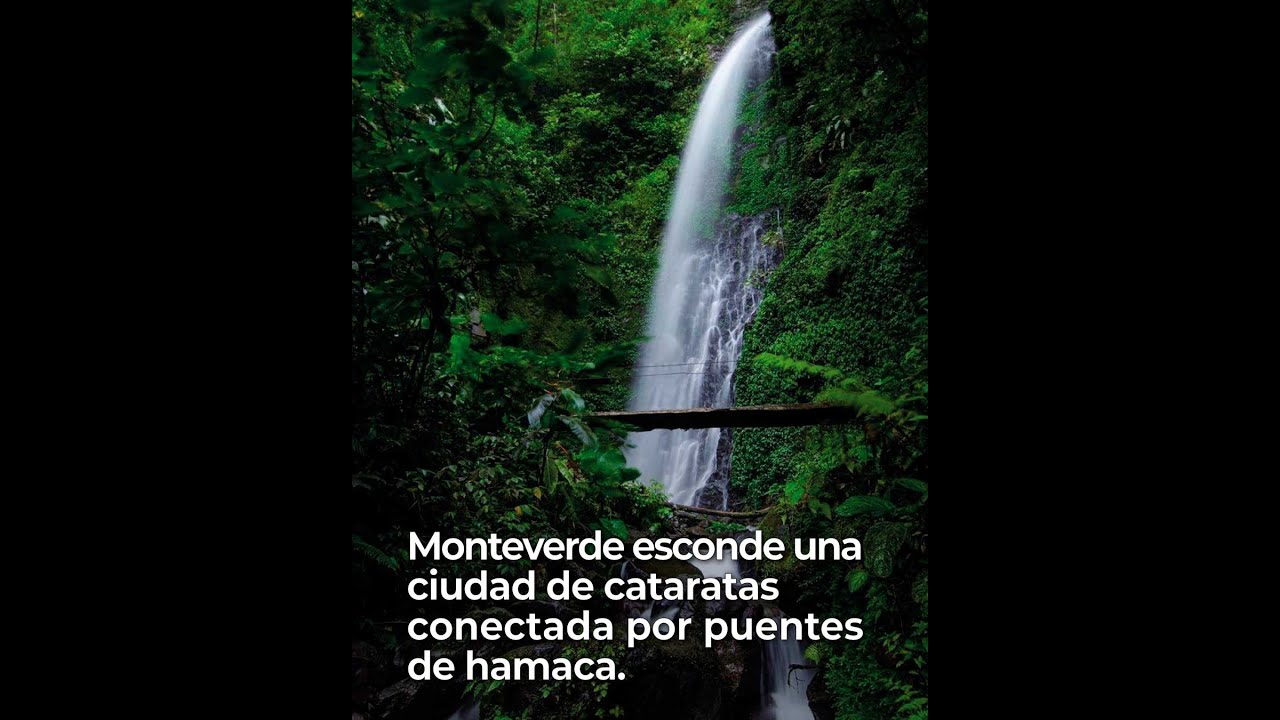 monteverde esconde u