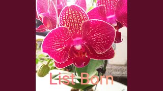 Download lagu Ayah mp3 Download lagu Ayah mp3