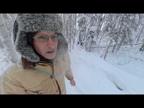 Back on my Trapline ,Lynx and Wolverine trapping.