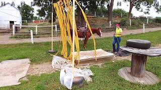 my horse spooks...what do I do?