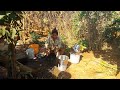 Indian Village Vlog Video Bartan Wash Cooking Recipe Vlog Video Vlog 2022
