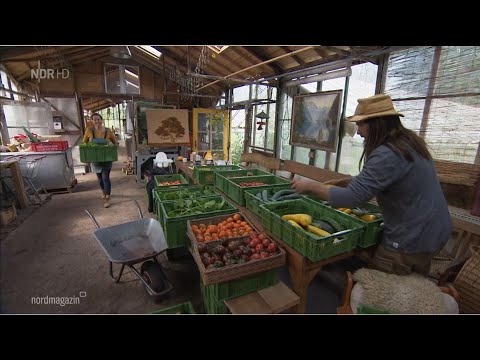 NDR Nordmagazin 02.09.2023