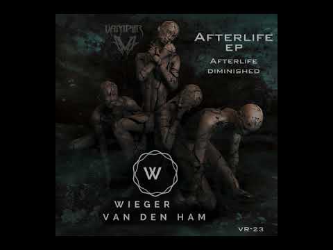 Wieger Van Den Ham - Diminished [VAMPIIR Records]