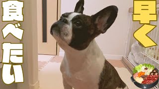 今年もこの季節がやってきた🐶