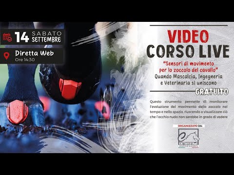 Video corso live: 