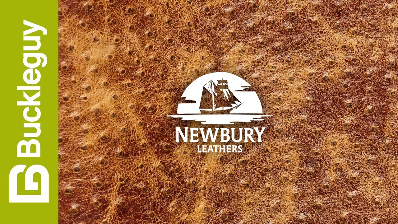 Newbury Leathers, Ostrich Embossed | Light Brown | USA Leather Demo