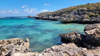 Day trip to Rottnest Island from Perth. #tour  #rottnestisland #holiday #thingstodo #visitperth