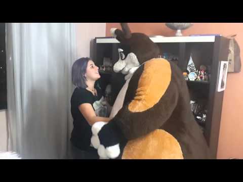 Allira and the fursuits