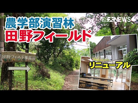 宮大NEWS「農学部演習林 田野フィールド事務管理棟改修」