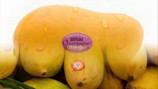 nikoo mainu amb le de pakistani .wmv