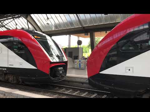 VERY LONG SOB TRAVERSO FLIRT 3.5 AND TWINDEXX! Trains and TRAMS in Zurich on a busy day