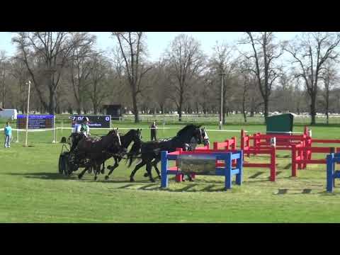 Bram CHARDON (NED) - CAI***, H4 WC, Kladruby nad Labem (CZE), marathon, obstacle Nr. 3, 22.04.2023