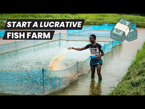 , title : 'How to Start a Lucrative Fish Farming Business in Nigeria'