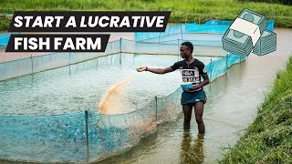 How to Start a Lucrative Fish Farming Business in Nigeria