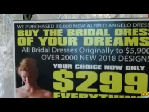 download lagu mp3 mp4 Wedding Boutiques In Tampa Fl, download lagu Wedding Boutiques In Tampa Fl gratis, unduh video klip Wedding Boutiques In Tampa Fl
