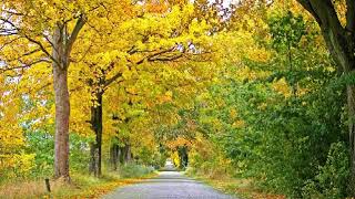 # 적우~가을편지