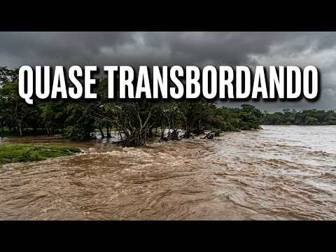 Rio PARAIBA sobe e fica perto de TRASBORDAR em SP após chuvas; veja