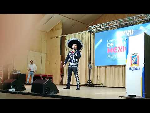 "Pelea de Gallos"🐓, "El Mariachero" Hardy Díaz, Entre Lagos, Puyehue, Chile 🇨🇱, 09/02/2026.