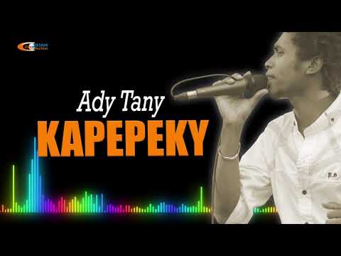KAPEPEKY - ADY TANY (audio officiel 2020)