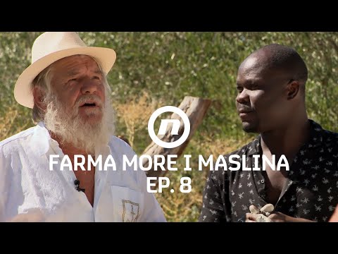 Timski rad se isplatio - Epizoda 8 | Farma More i Maslina