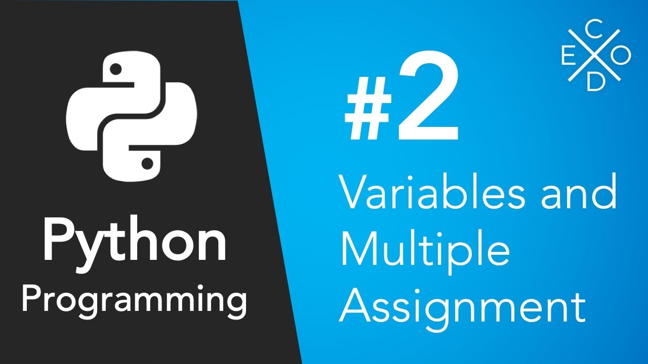 Python Programming #2 - Variables and Multiple Assignment