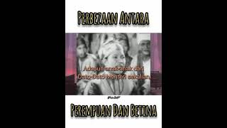 Download lagu Kata-kata Tan Sri P.Ramlee mp3 Download lagu Kata-kata Tan Sri P.Ramlee mp3