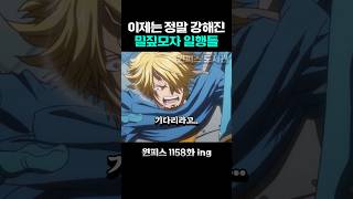 이제는 정말 강해진 밀짚모자 일행들