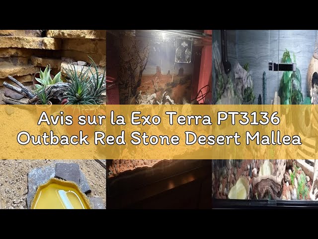 Vídeo relacionado con Exo Terra PT3135 Outback Red Stone Desert, 5 Kg, Color Rojo