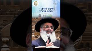 הילולת שמואל הנביא | שביבי אור מאת מו"ר הרב ישראל אברג'ל שליט"א
