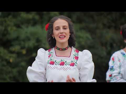 Gabriela Ardusătan - În căsuța dintre tei