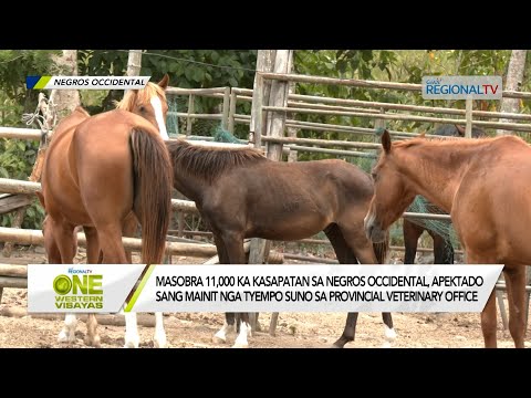 One Western Visayas: Pila ka kasapatan sa Negros Occidental, na-record nga napatay bangud sa init