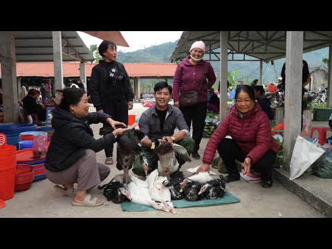 From a successful CEO, Zhao Kang became a duck seller at the market.