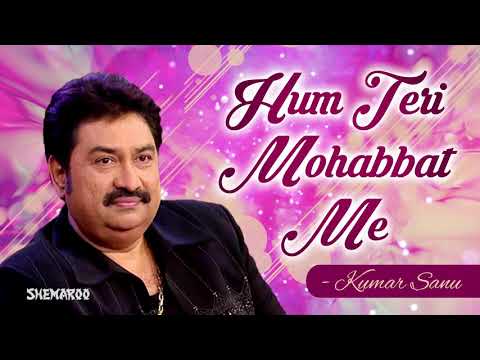 Hum Teri Mohabbat Mein | Phool Aur Angaar | Mithun Chakraborty | Kumar Sanu & Sadhana Sargam Hits