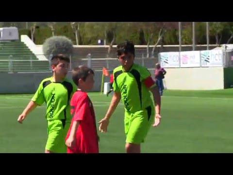 ALEVIN A FOIETES   -  JONENSE B